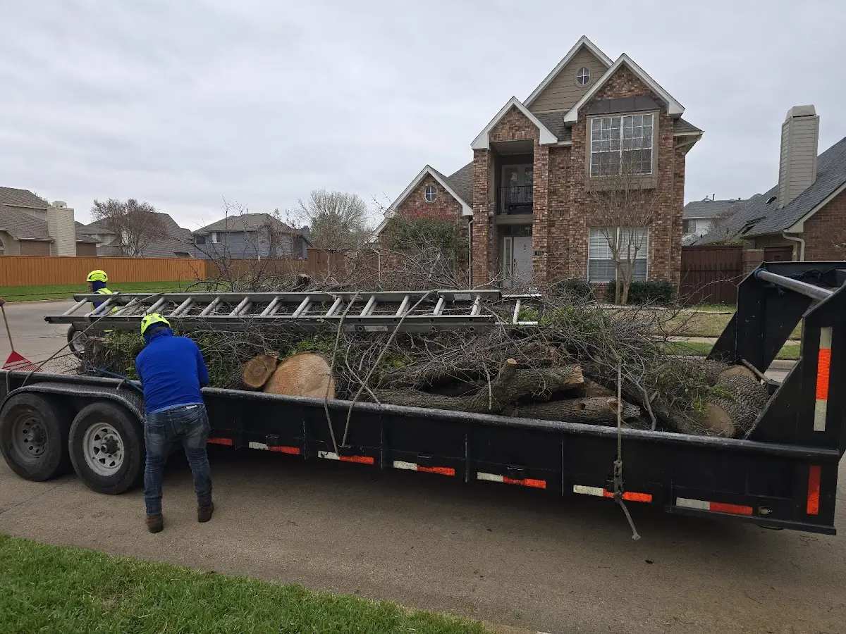 Expert Tree Fertilization with proper safety equipment in Mentmore